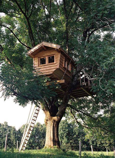 54 top idées de cabanes dans les arbres 42