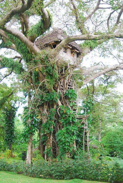 54 top idées de cabanes dans les arbres 46