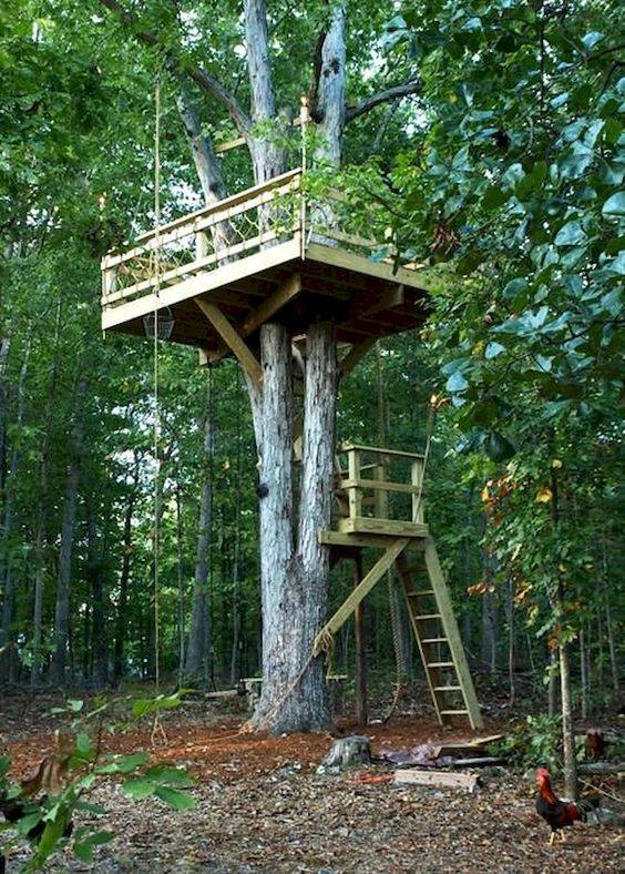 54 top idées de cabanes dans les arbres 54