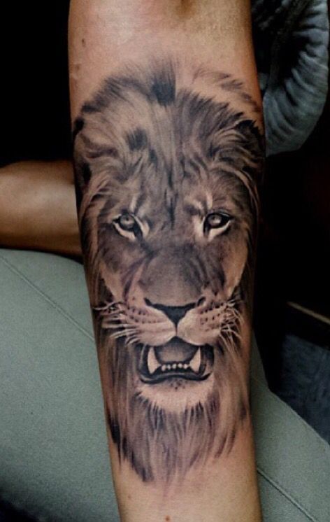 100 top idées de tatouages lion 75