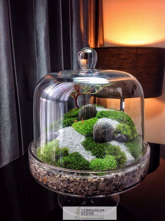 22 jolies idées de décorations de terrariums en tendance 19