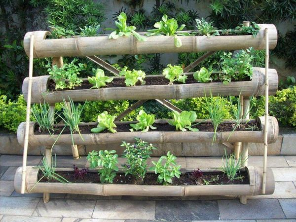 100 top idées pour aménager un jardin sans dépenser d'argent 18