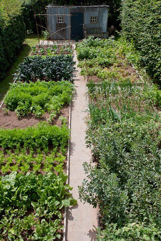 100 top idées pour aménager un jardin sans dépenser d'argent 90