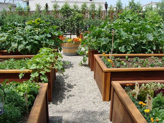 100 top idées pour aménager un jardin sans dépenser d'argent 116