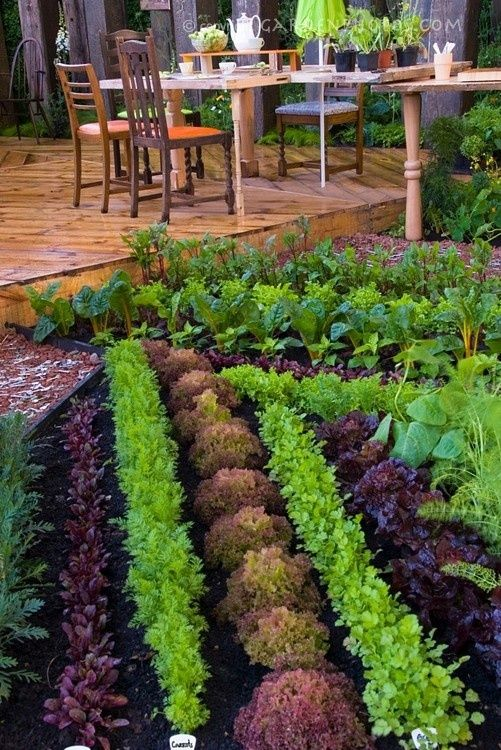 100 top idées pour aménager un jardin sans dépenser d'argent 122