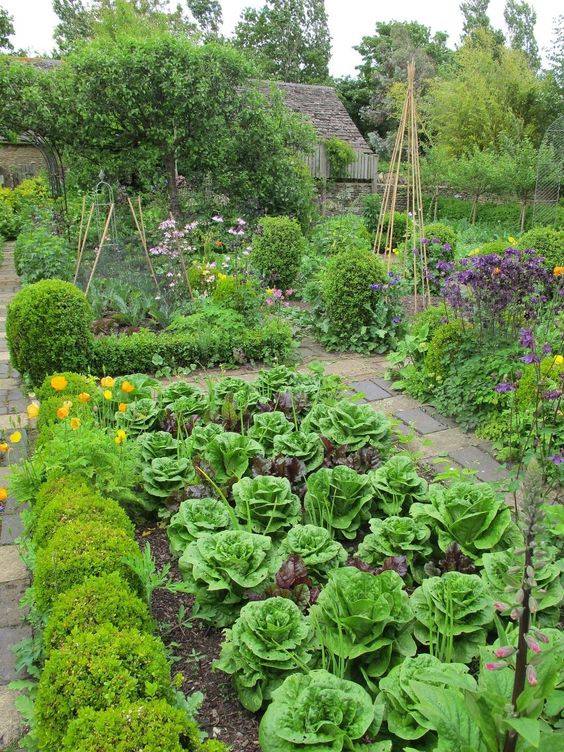 100 top idées pour aménager un jardin sans dépenser d'argent 135