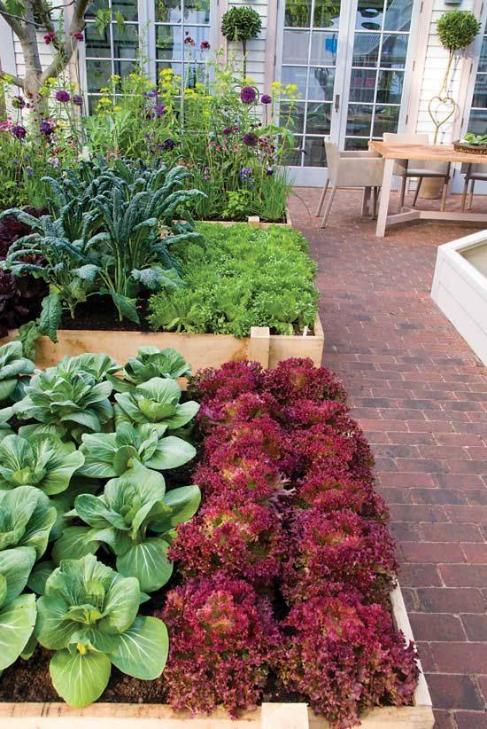 100 top idées pour aménager un jardin sans dépenser d'argent 136
