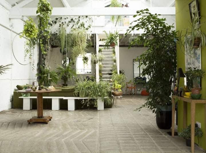 60 top idées de jardin d'intérieur pour s'inspirer 4