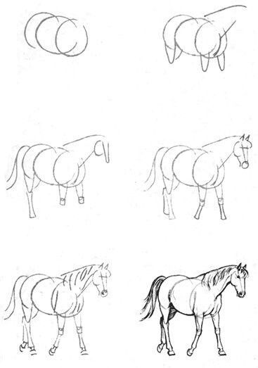 28 idées & tutos dessins de cheval : pour apprendre à dessiner des chevaux 17