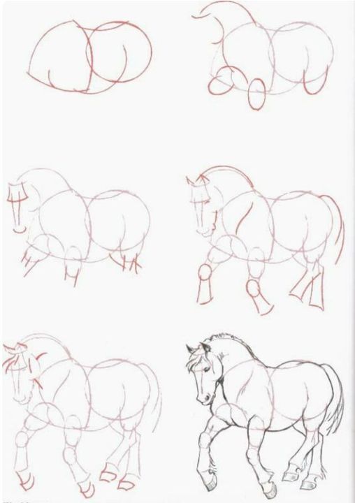 28 idées & tutos dessins de cheval : pour apprendre à dessiner des chevaux 23