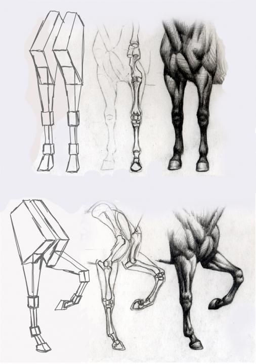 28 idées & tutos dessins de cheval : pour apprendre à dessiner des chevaux 26