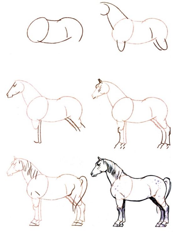 28 idées & tutos dessins de cheval : pour apprendre à dessiner des chevaux