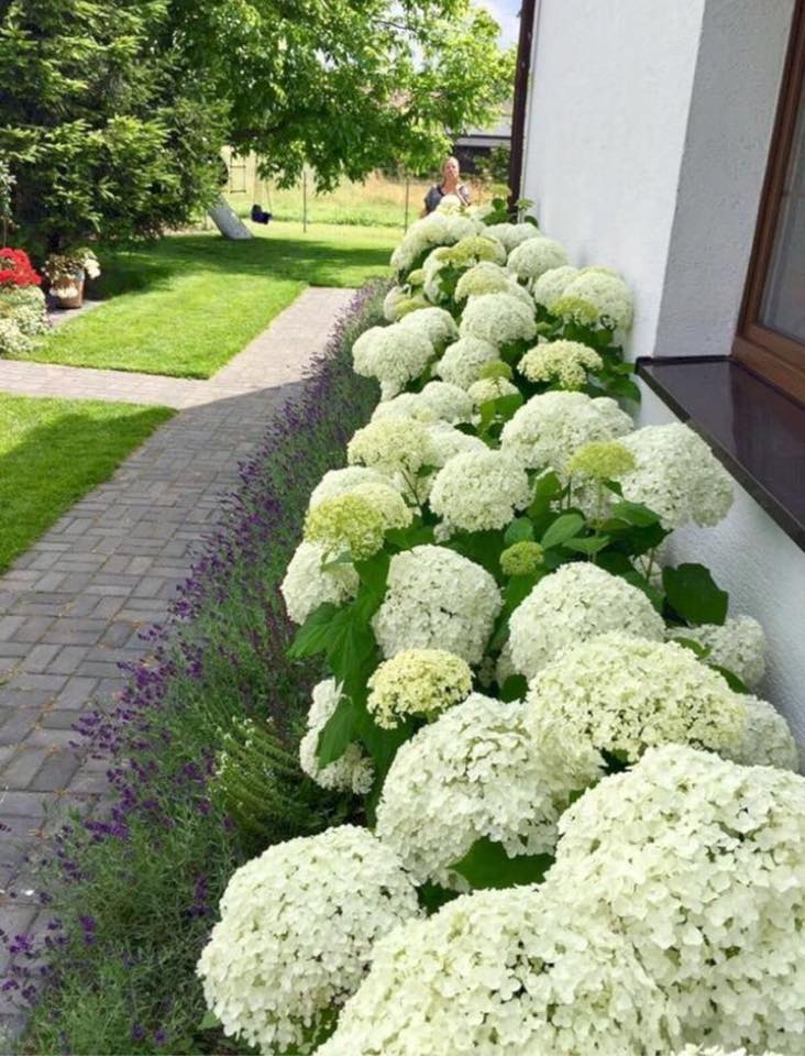 Les 100 plus beaux décors de jardin de tous les temps 36