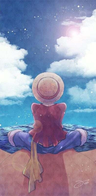 100 top idées & tutos de dessins One Piece 12