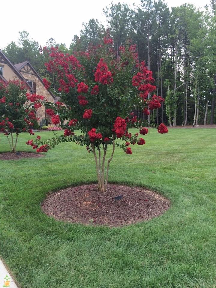 200 décorations de jardin à faire soi-même 53