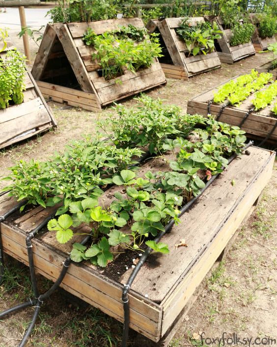 200 décorations de jardin à faire soi-même 81