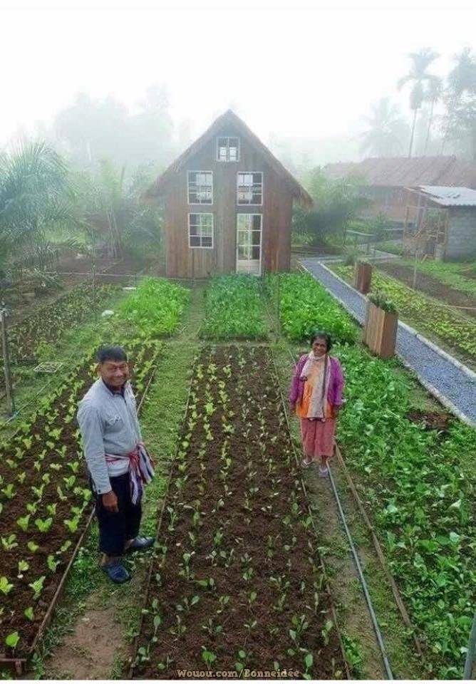 21 idées pour mettre un potager dans votre jardin 19