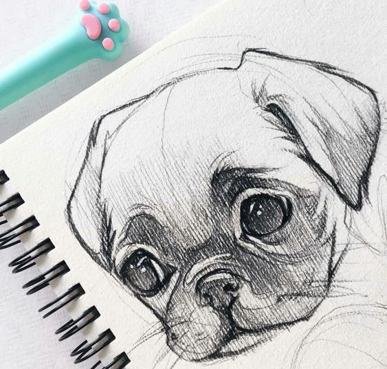 100 Top Idées & Tutos de Dessins de Chiens 25