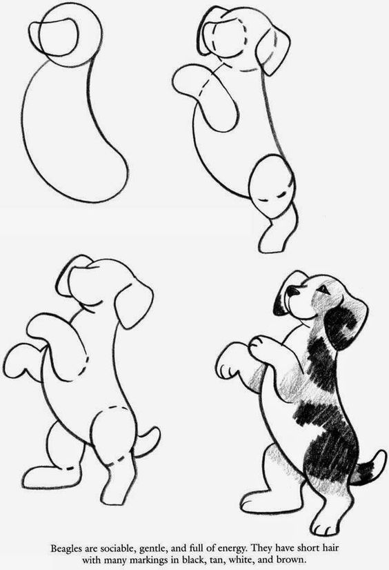 100 Top Idées & Tutos de Dessins de Chiens 3