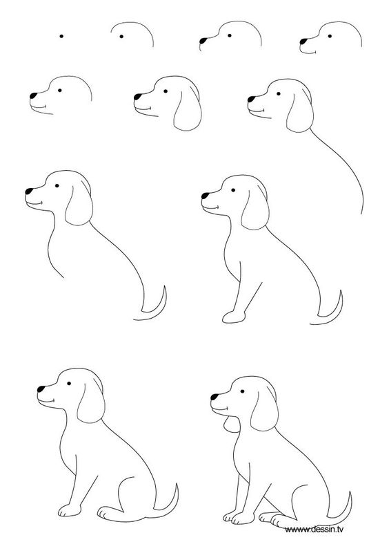 100 Top Idées & Tutos de Dessins de Chiens 40