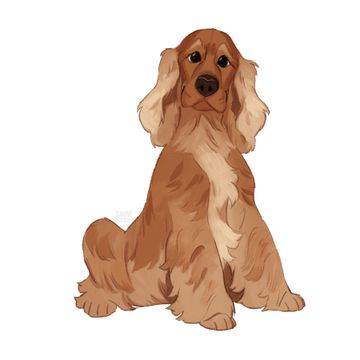 100 Top Idées & Tutos de Dessins de Chiens 43