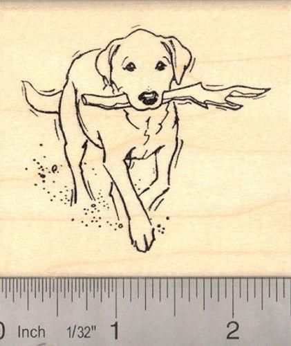 100 Top Idées & Tutos de Dessins de Chiens 54