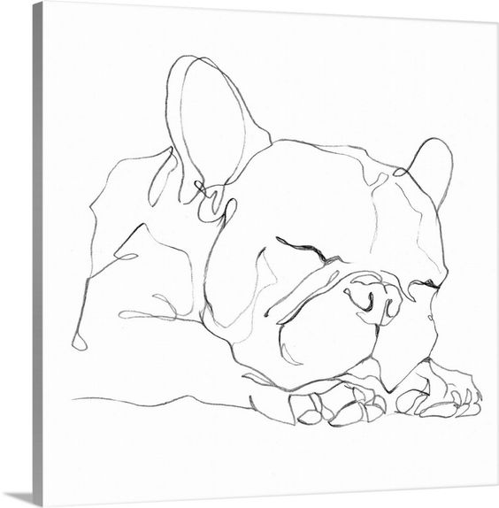 100 Top Idées & Tutos de Dessins de Chiens 56