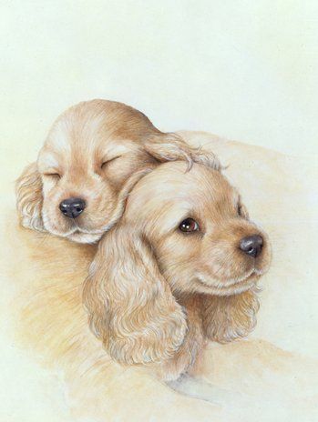 100 Top Idées & Tutos de Dessins de Chiens 57