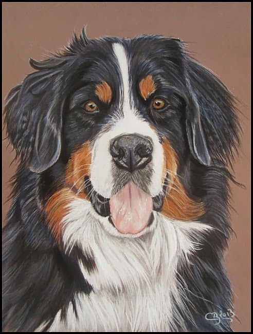 100 Top Idées & Tutos de Dessins de Chiens 58