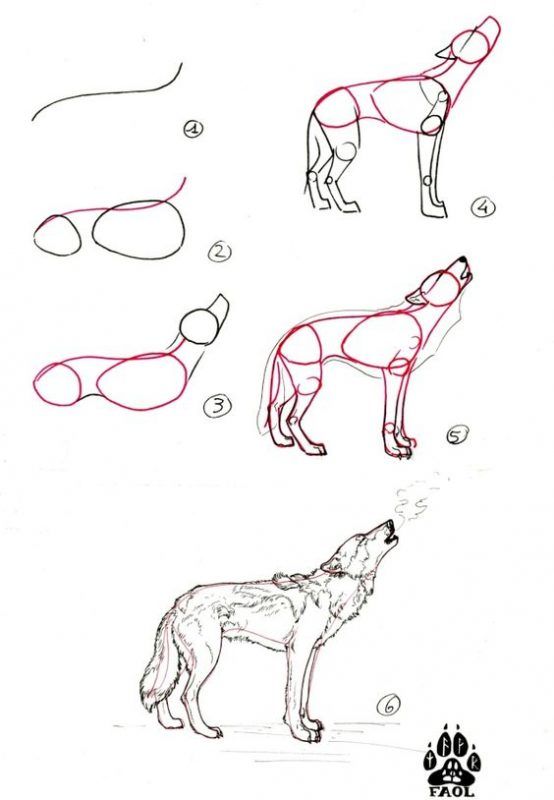 100 Top Idées & Tutos de Dessins de Chiens 68