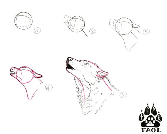 100 Top Idées & Tutos de Dessins de Chiens 69