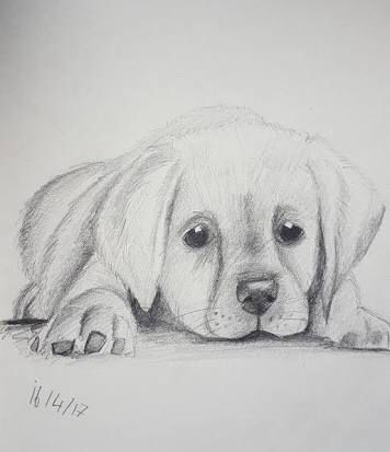 100 Top Idées & Tutos de Dessins de Chiens 72