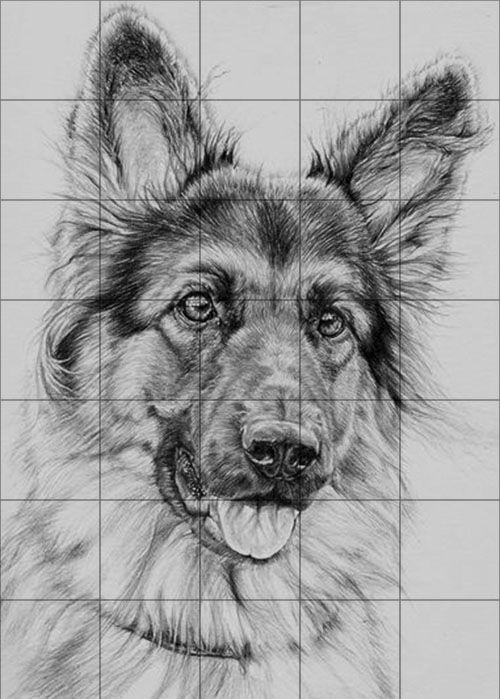 100 Top Idées & Tutos de Dessins de Chiens 78