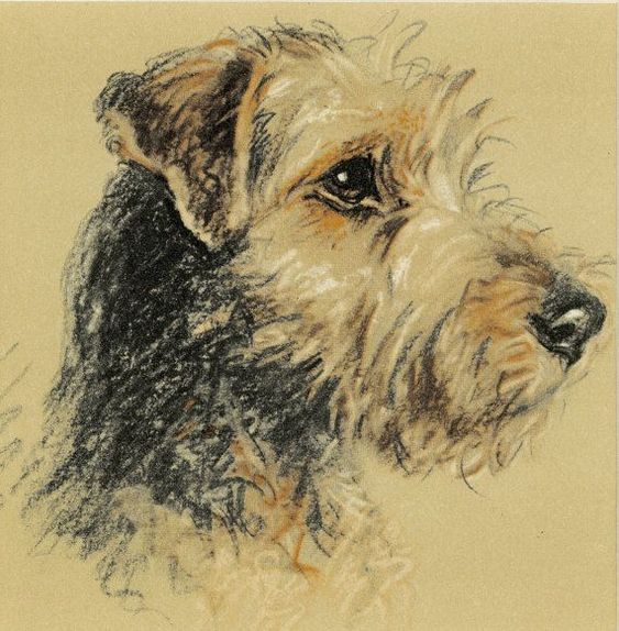 100 Top Idées & Tutos de Dessins de Chiens 85