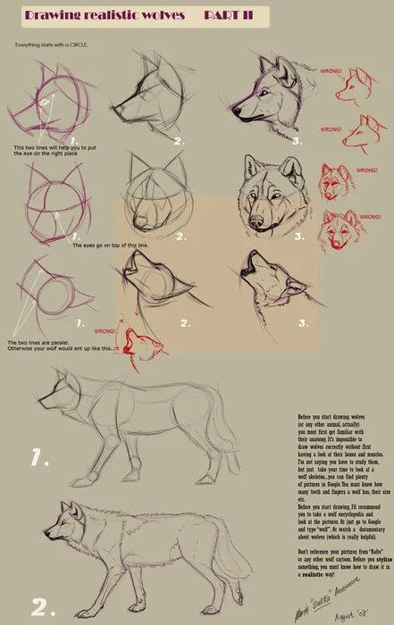 100 Top Idées & Tutos de Dessins de Chiens 92