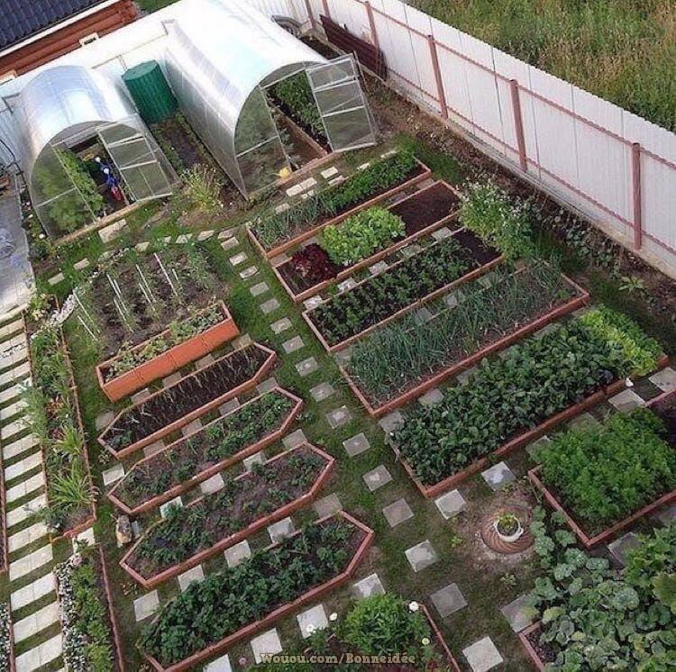 21 idées pour mettre un potager dans votre jardin 10