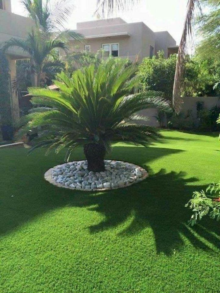 100 super idées pour embellir son jardin 10