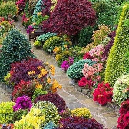 100 super idées pour embellir son jardin 103