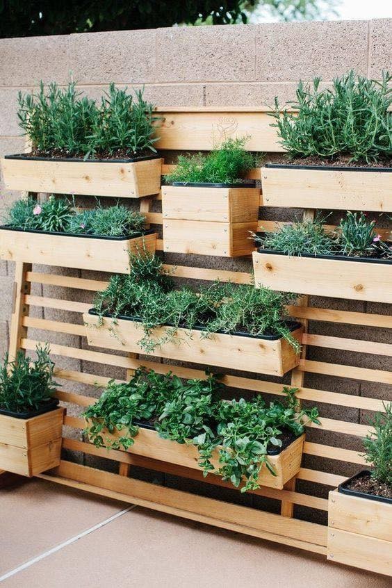 26 idées pratiques et économiques pour le jardin 11