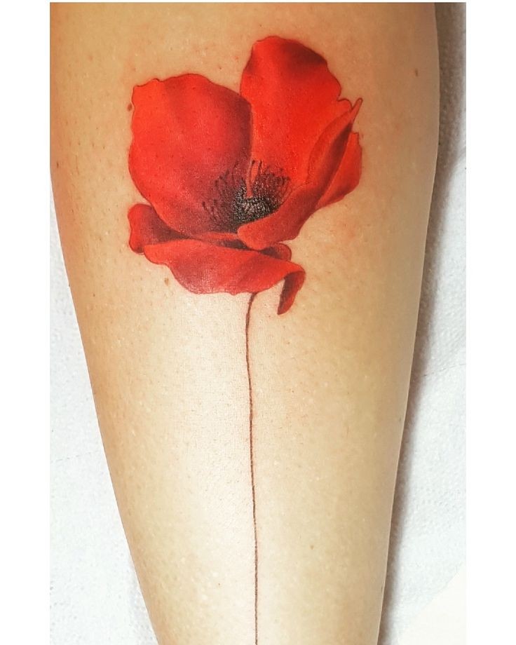 Les 50 plus beaux tatouages coquelicot 32