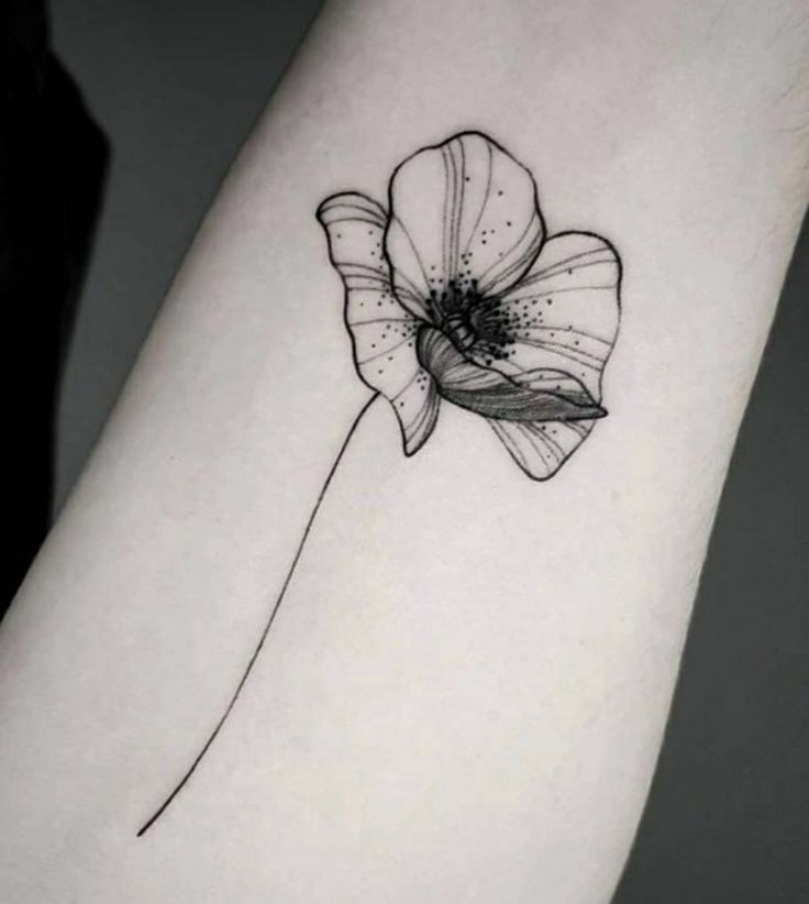 Les 50 plus beaux tatouages coquelicot 40