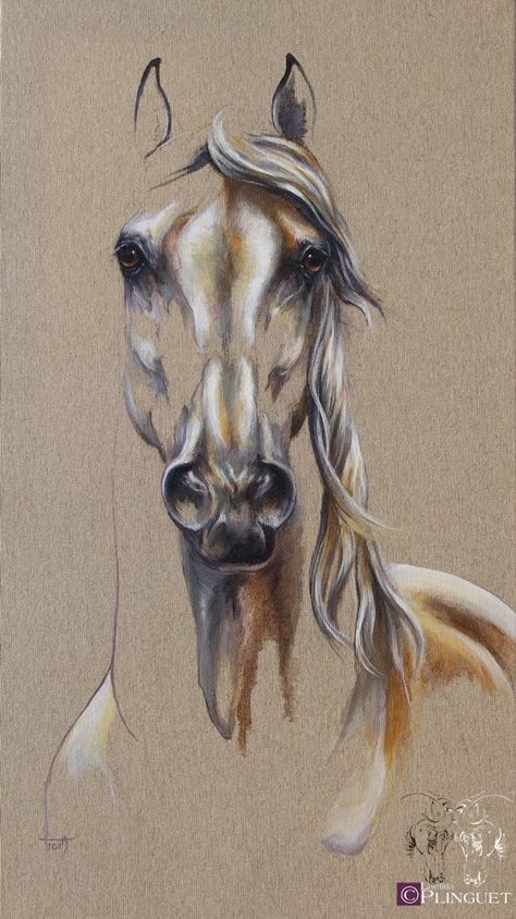 50 top idées de dessin de cheval 11