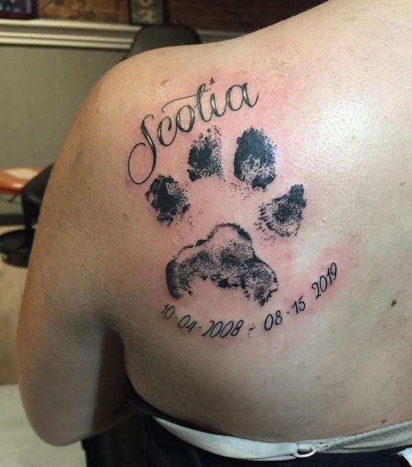 50 top idées de tatouages patte de chien 14