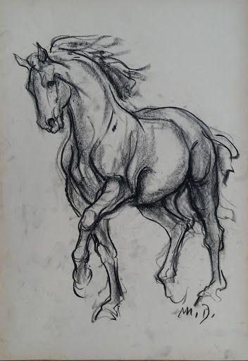 50 top idées de dessin de cheval 19