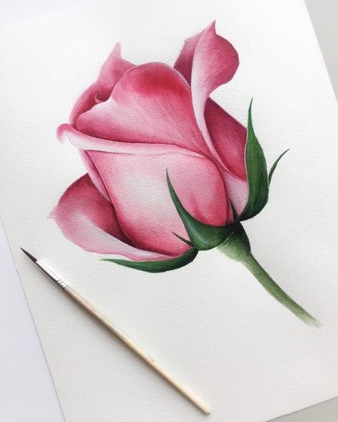 50 top idées de dessins de fleurs : pour apprendre à dessiner des fleurs facilement 2