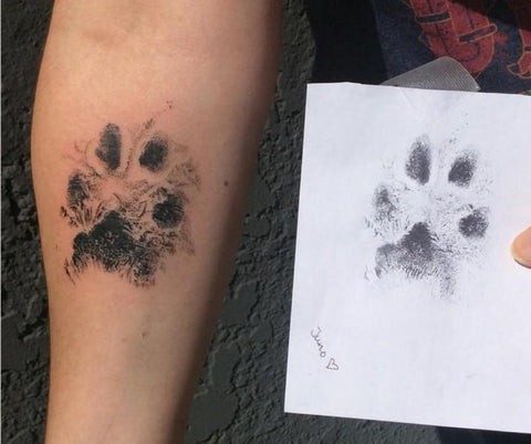 50 top idées de tatouages patte de chien 22