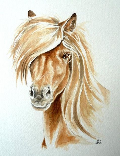 50 top idées de dessin de cheval 40