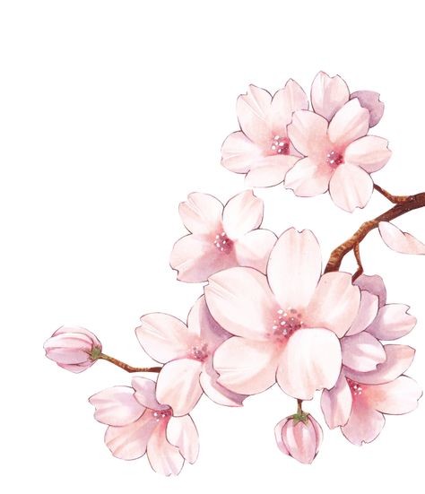 50 top idées de dessins de fleurs : pour apprendre à dessiner des fleurs facilement 4