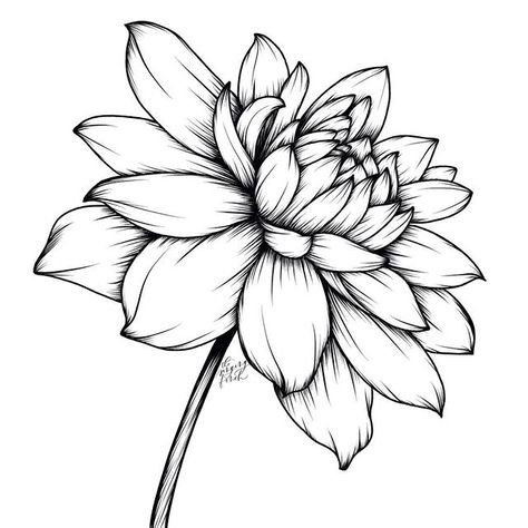 50 top idées de dessins de fleurs : pour apprendre à dessiner des fleurs facilement 7