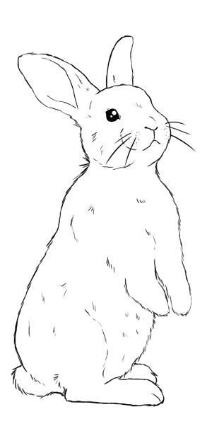 29 top idées de lapin de Pâques à dessiner 14